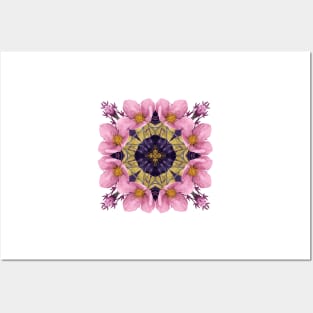 Pink and Purple Hellebore Flowers Posters and Art